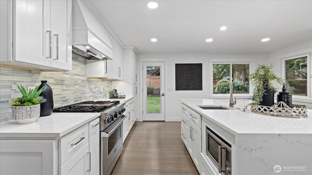 kitchen with dark wood-style floors, custom range hood, a sink, stainless steel appliances, and backsplash