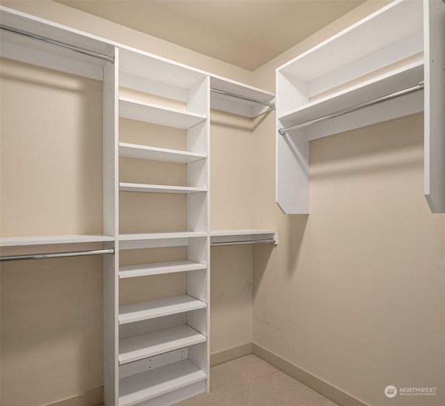 walk in closet featuring light colored carpet