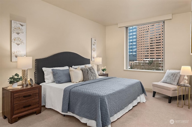 bedroom with carpet floors