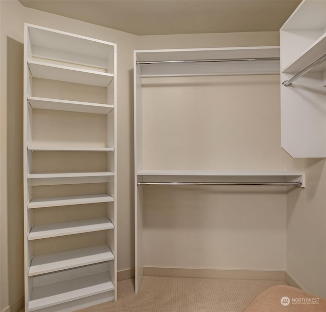 spacious closet featuring light carpet