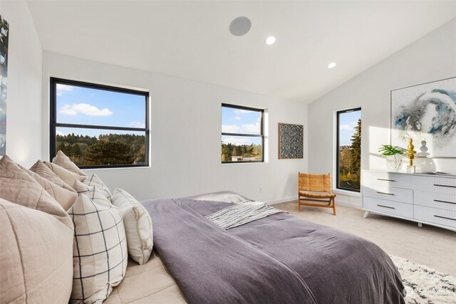 bedroom featuring vaulted ceiling