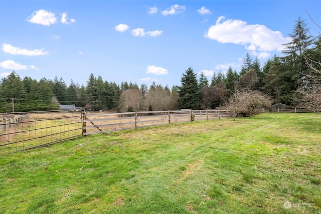 view of yard with a rural view