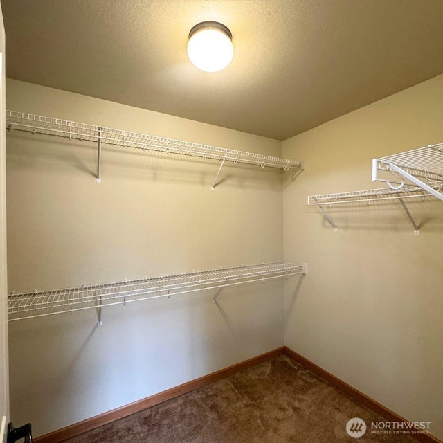 spacious closet with carpet floors