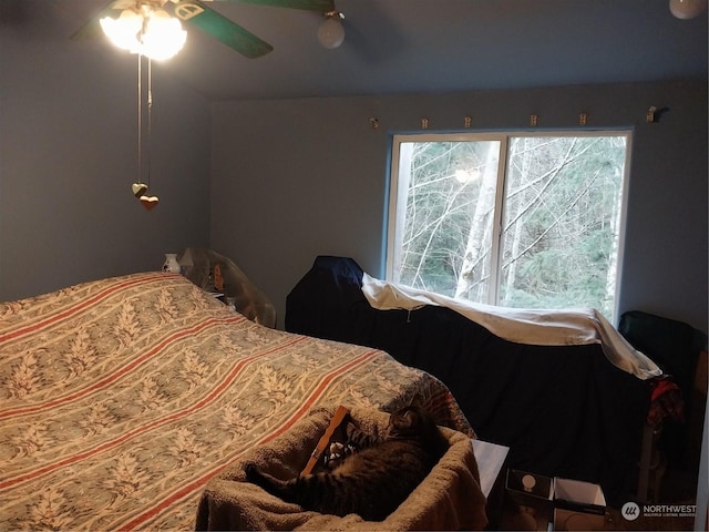 bedroom featuring ceiling fan