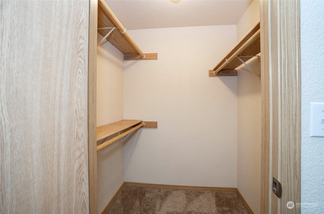 spacious closet featuring carpet flooring