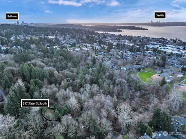 drone / aerial view with a water view