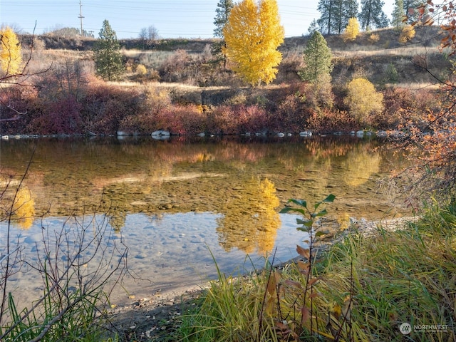 80 Still Ln, Peshastin, WA 98847 - photo 6