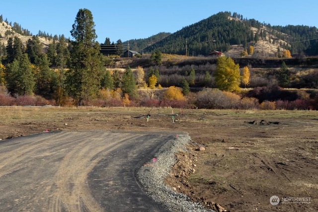 80 Still Ln, Peshastin, WA 98847 - photo 15