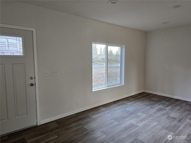 entrance foyer with wood-type flooring