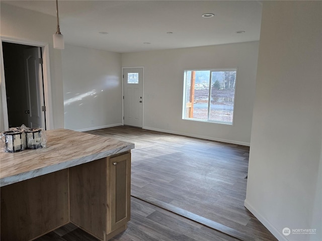 foyer with hardwood / wood-style floors