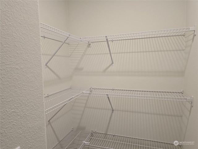 53 Newton Rd, Forks, WA 98331 - view of spacious closet