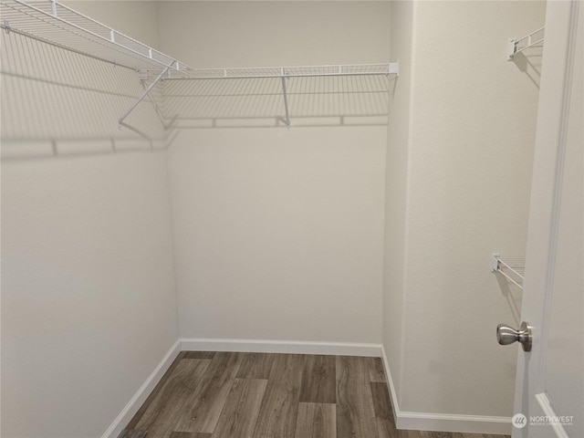 spacious closet featuring dark hardwood / wood-style flooring