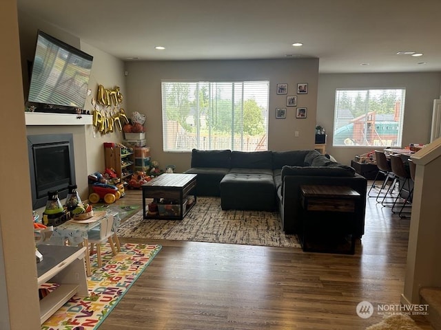 living room with hardwood / wood-style flooring