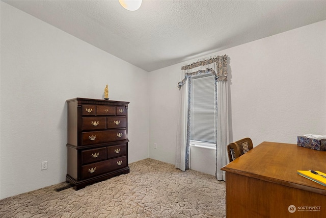 office featuring a textured ceiling and light colored carpet