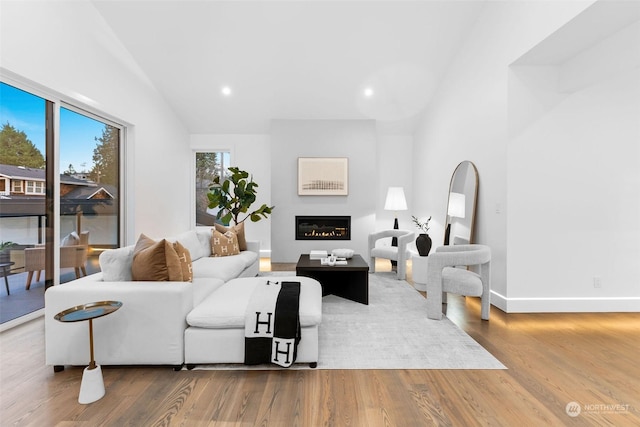 living room with hardwood / wood-style flooring and lofted ceiling