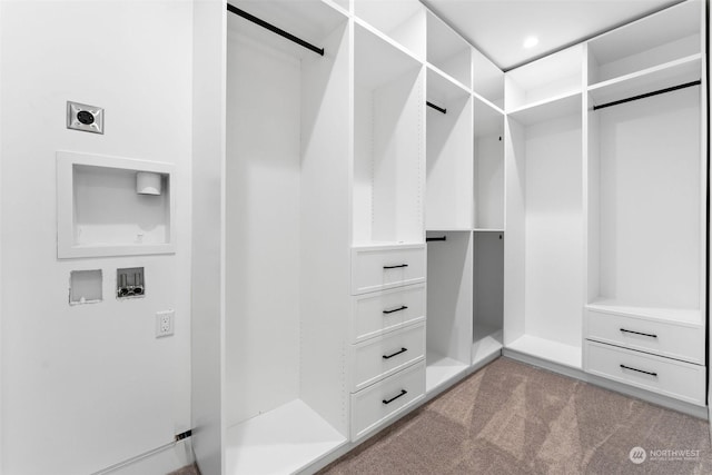 walk in closet with light colored carpet