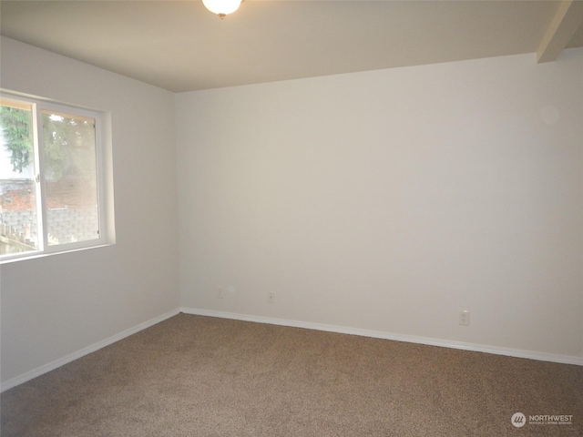 unfurnished room featuring carpet floors