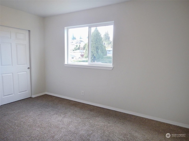 unfurnished bedroom featuring carpet floors