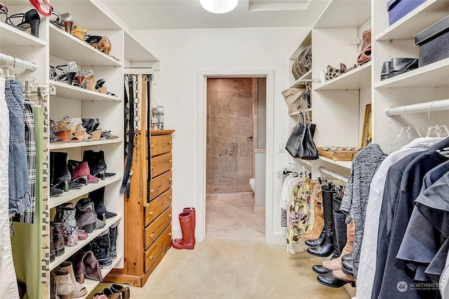 2031 42nd Ave E, Seattle, WA 98112 - spacious closet with carpet floors