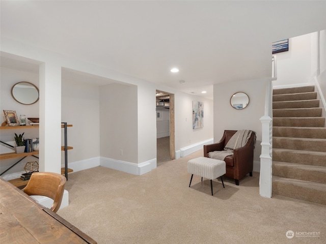 sitting room featuring carpet flooring