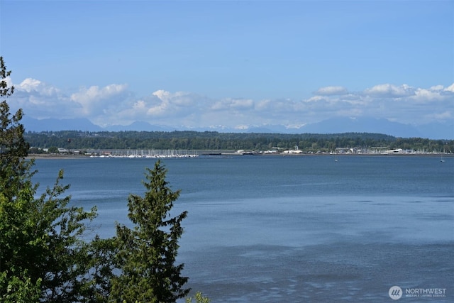 5448 Pine Siskin Rd, Blaine, WA 98230