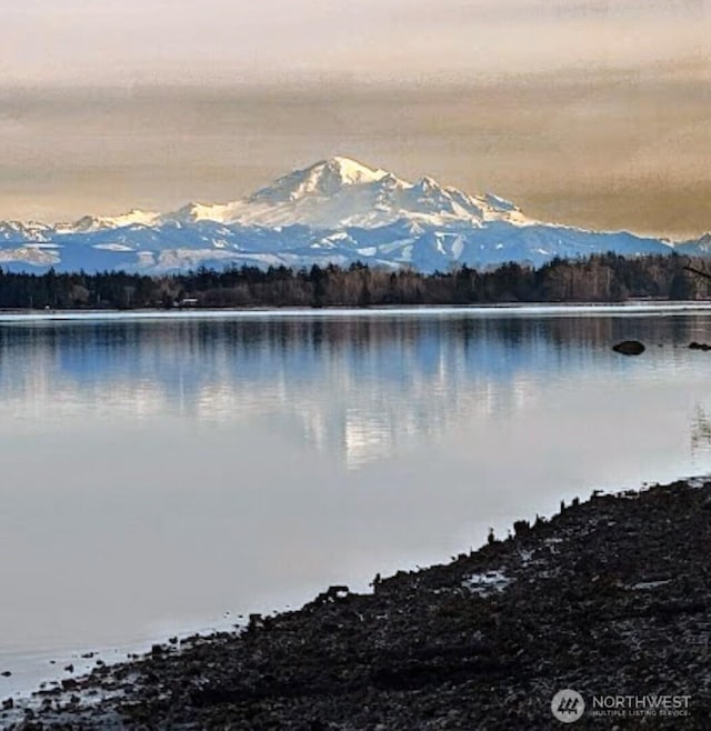 5448 Pine Siskin Rd, Blaine, WA 98230