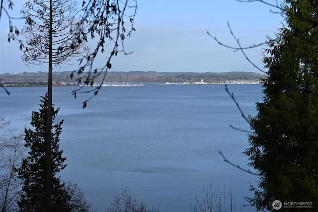 5448 Pine Siskin Rd, Blaine, WA 98230