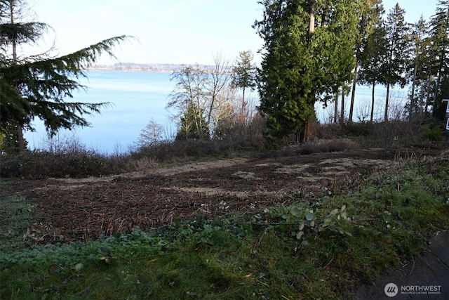 5448 Pine Siskin Rd, Blaine, WA 98230