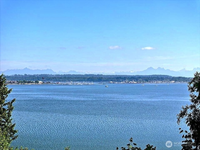 5448 Pine Siskin Rd, Blaine, WA 98230 - photo 3