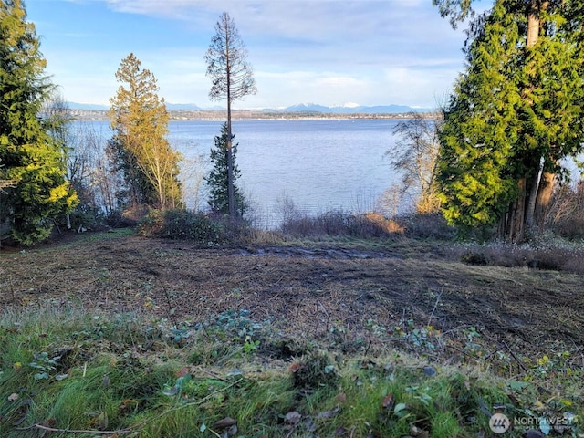 5448 Pine Siskin Rd, Blaine, WA 98230 - photo 5