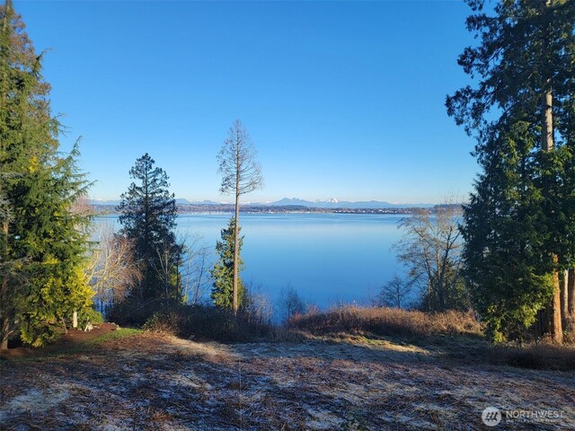 5448 Pine Siskin Rd, Blaine, WA 98230 - photo 6