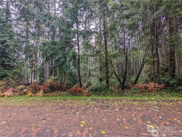 11412 Admiralty Way, Anderson Island WA, 98303 land for sale