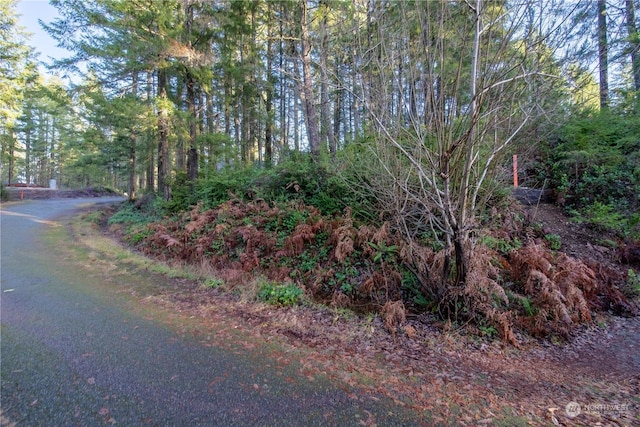 471 E Jack Pine Ln, Union WA, 98592 land for sale