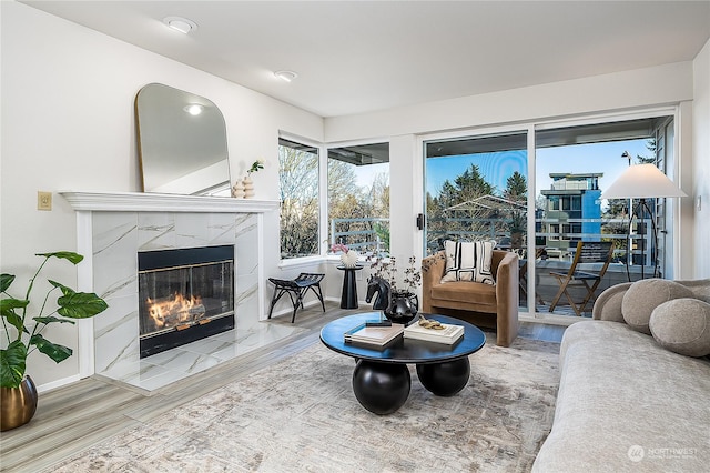 living room featuring hardwood / wood-style flooring and a high end fireplace