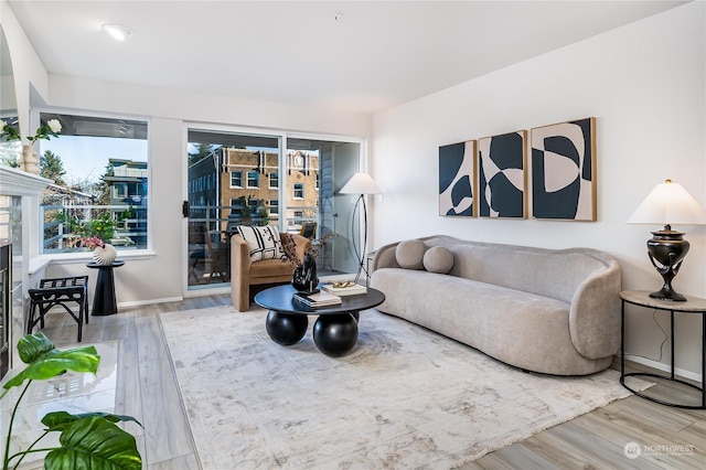 living room featuring wood-type flooring