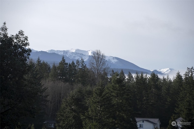 view of mountain feature