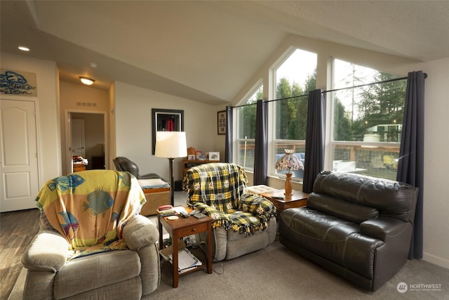 carpeted living room with lofted ceiling