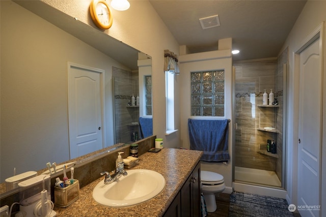 bathroom with toilet, vanity, and walk in shower