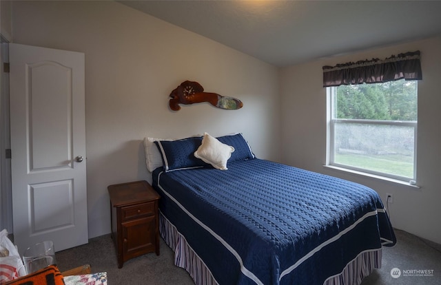 bedroom with dark colored carpet