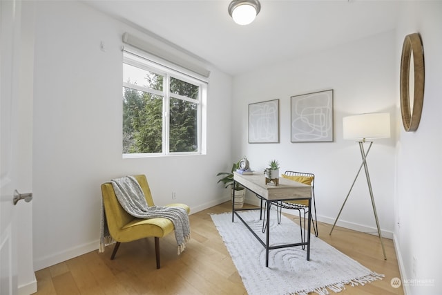 office featuring light hardwood / wood-style flooring