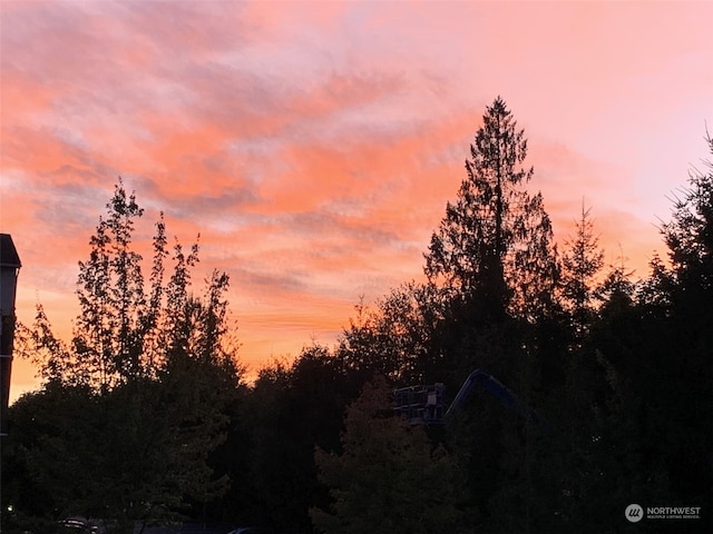 view of nature at dusk