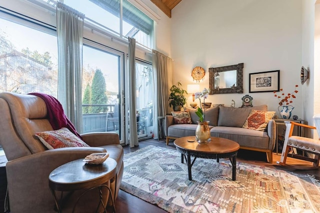 sitting room featuring high vaulted ceiling and hardwood / wood-style floors