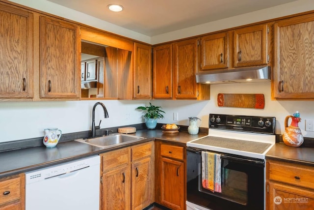 kitchen featuring electric stove, dishwasher, and sink