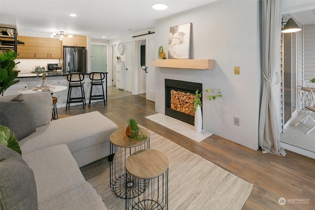 living room featuring wood-type flooring