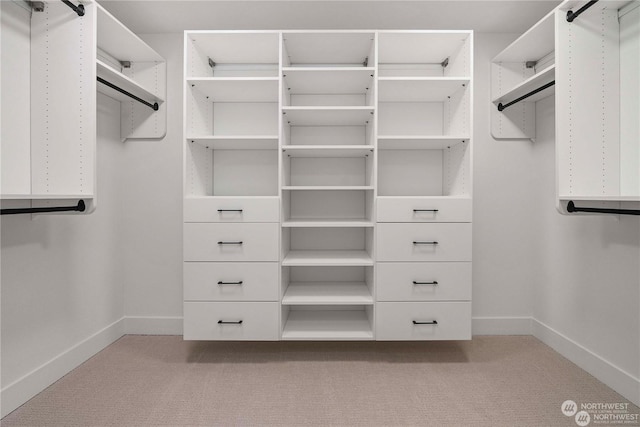 spacious closet with light colored carpet