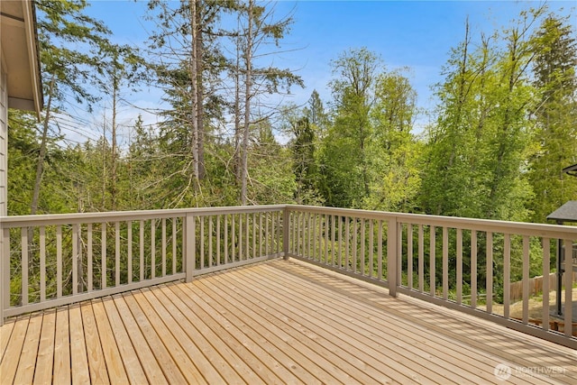 21017 67th Street Ct E, Bonney Lake, WA 98391 - photo 24