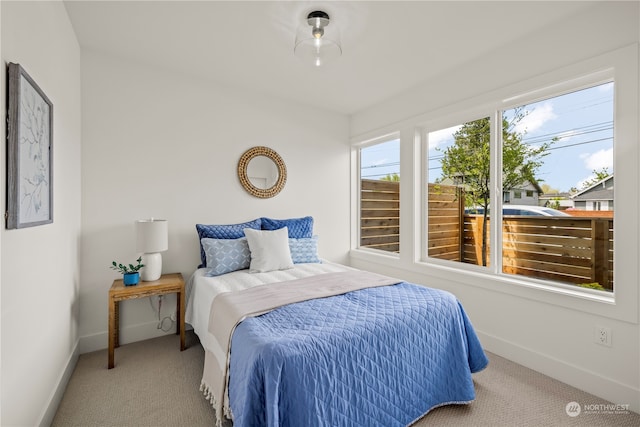 bedroom featuring carpet