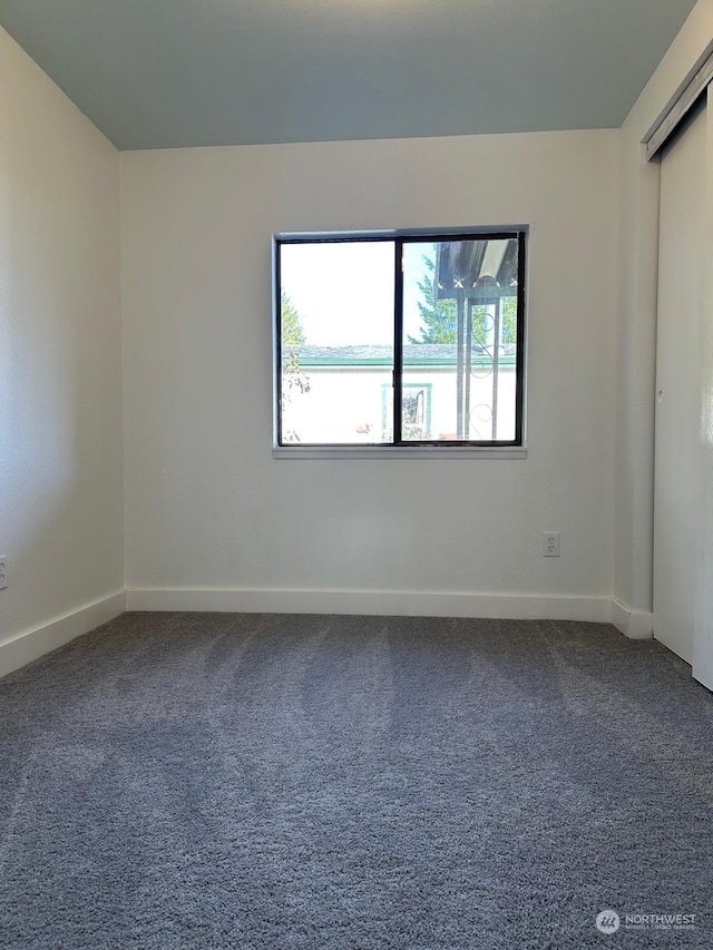 spare room with carpet floors