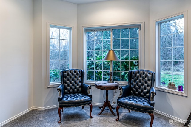 living area featuring carpet flooring