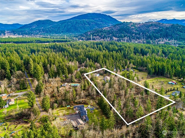 31724 SE 268th St, Ravensdale, WA 98051 - photo 8